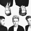 Black and white one direction adult paint by numbers