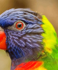 Colorful Parrot Paint by number