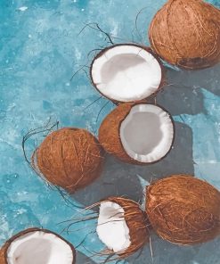 Fresh Coconut adult paint by numbers