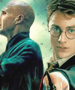 Harry Potter and Voldemort adult paint by numbers