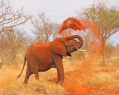 African elephant paint by number
