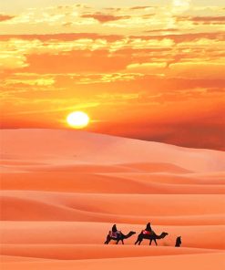 Sahara Desert paint by number