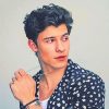 Shawn Mendes Paint By Numbers