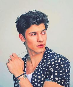 Shawn Mendes Paint By Numbers