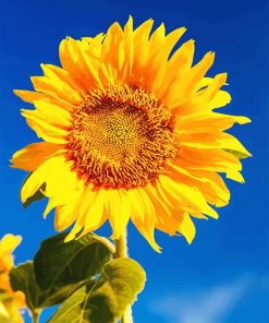 yellow Sunflower adult paint by number