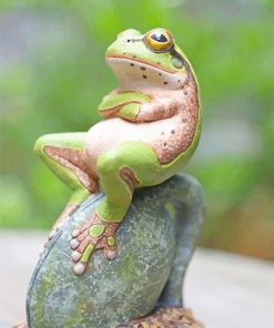 Frog Relaxes On A Rock Paint By Numbers