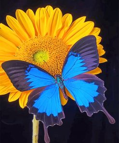 Blue Butterfly And A Sunflower Paint By Numbers