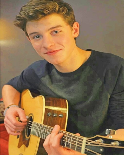 Shawn Mendes Playing Guitar Paint By Numbers