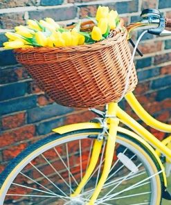 Yellow Bicycle And Flowers Paint By Numbers