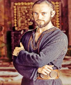 Athelstan vikings adult paint by numbers