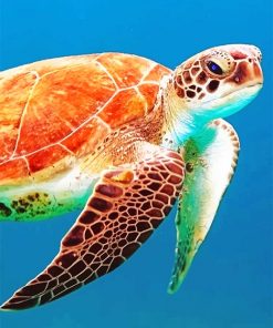 Brown sea turtle adult paint by numbers
