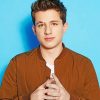 Charlie puth portrait adult paint by numbers