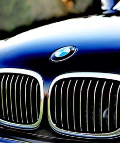 Chrome Bmw Grille adult paint by numbers