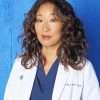 Cristina Yang Greys Anatomy adult paint by numbers