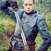 GOT Brienne Of Tarth adult paint by numbers