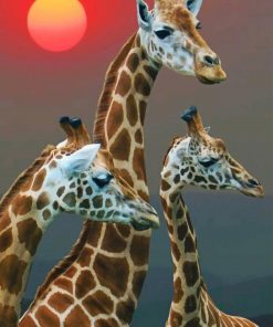 Giraffe With Babies In Sunset adult paint by numbers