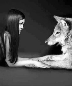 Girl with her wolf best friend adult paint by numbers