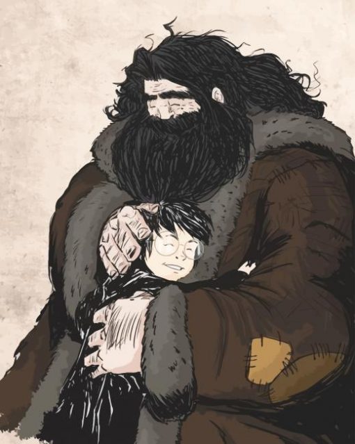 Hagrid and harry potter paint by numbers