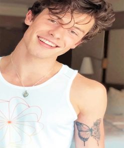 Handsome shawn mendes paint by numbers