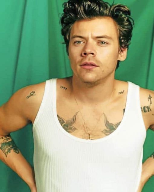 Harry Styles Green Background Paint By Numbers