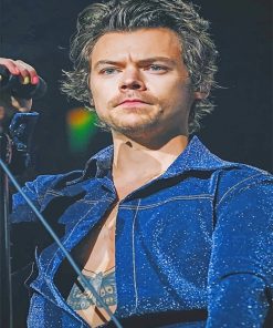 Harry styles singer adult paint by numbers