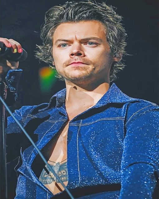 Harry styles singer adult paint by numbers