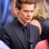 Harry Styles Wearing Black Classy Suit paint by numbers