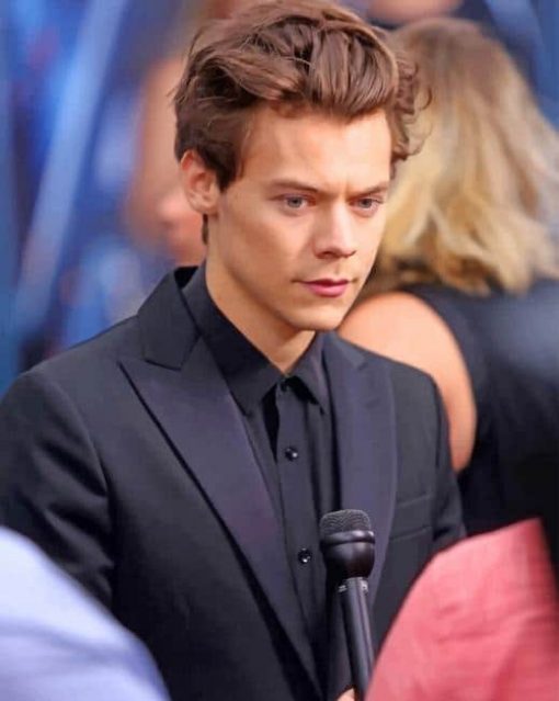 Harry Styles Wearing Black Classy Suit paint by numbers