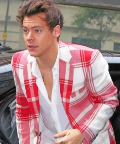 Harry styles wearing White Red Suit paint By numbers