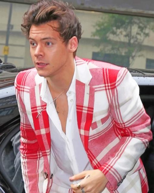 Harry styles wearing White Red Suit paint By numbers