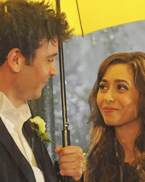 How I Met Your Mother Ted Mosby And Tracy paint by number