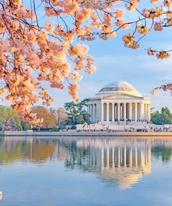 Jefferson Memorial In Cherry Blossom adult paint by numbers