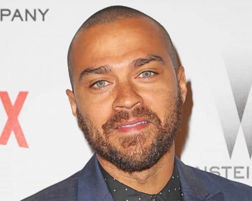 Jesse Williams Greys Anatomy adult paint by numbers