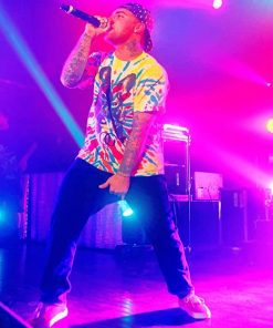 Mac Miller On Stage paint by number