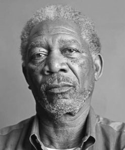 Morgan Freeman Black and White adult paint by numbers