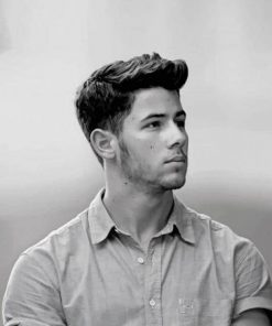 Nick Jonas Black And White adult paint by numbers