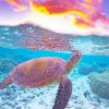 Ocean Turtle adult paint by numbers