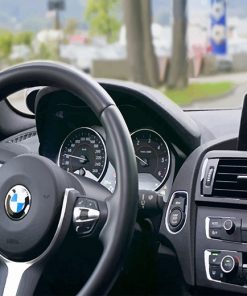 Person Driving Bmw Car adult paint by numbers
