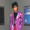 Prince before the rain adult paint by numbers