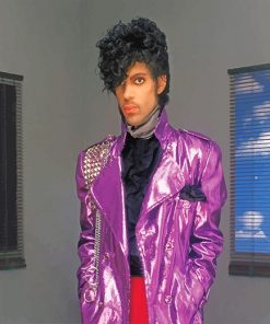 Prince before the rain adult paint by numbers