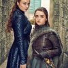 Queen Sansa And Arya Game Of Thrones adult paint by numbers