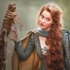 Ros Game Of Thrones adult paint by numbers