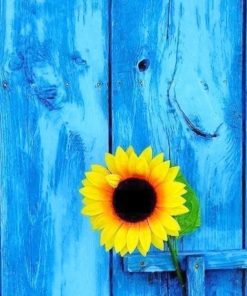 Sunflower with blue door adult paint by number