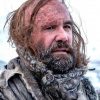 The Hound Sandor Clegane adult paint by numbers