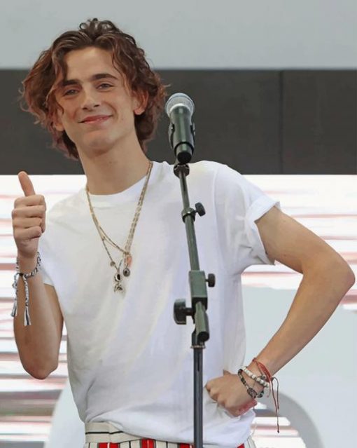 Timothee Chalamet On The Stage adult paint by numbers
