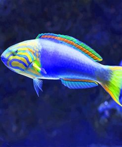 Tropical blue fish adult paint by numbers