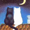 White And Black Cats Couple adult paint by numbers
