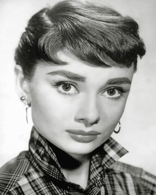 Audrey Hepburn Paint By Numbers