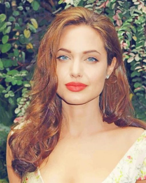 Beautiful Angelina Jolie Paint By Numbers