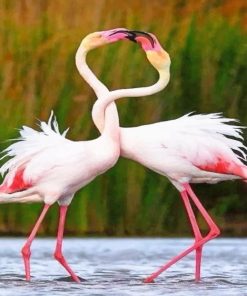 Beautiful Flamingos paint by numbers